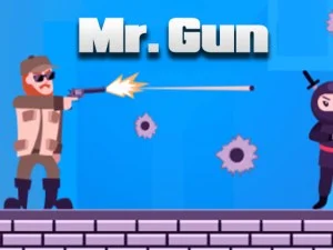 Mr Gun